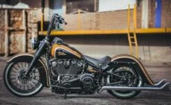 Achscover Schwinge Links -Thunderbike Verkaufsgeschäft 22 74 130 3