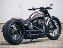 Fußrastenanlage V-Tech -Thunderbike Verkaufsgeschäft 31 74 020 5a1