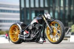 Gabelbrücke Grand Prix Bicolor -Thunderbike Verkaufsgeschäft 61 74 010 67