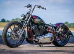 Gabel Radical 2.0 10 Gabel Radical 2.0 -Thunderbike Verkaufsgeschäft 61 74 130 2a