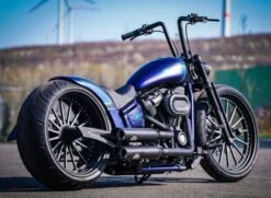 Schwingen Kit Kreuzfeuer 21" -Thunderbike Verkaufsgeschäft 66 74 050 32