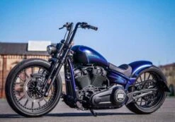 Schwingen Kit Kreuzfeuer 21" -Thunderbike Verkaufsgeschäft 66 74 050 42