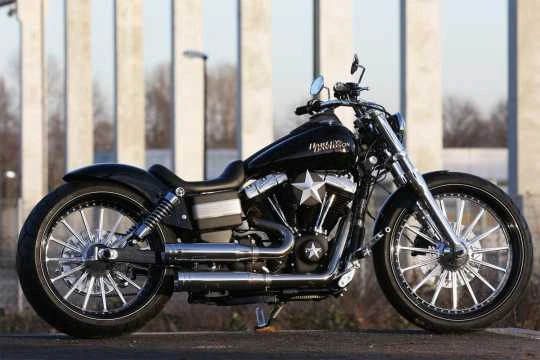 Schwingen Kit Dyna 260-21" 4 Schwingen Kit Dyna 260-21" – Bild 2