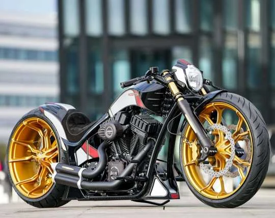 Thunderbike Grand Prix Hinterrad 9.0x21 4 Thunderbike Grand Prix Hinterrad 9.0x21 – Bild 2