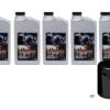 H-D Syn3 Ölwechsel Kit 15W50 5 Liter Schwarzer Filter -Thunderbike Verkaufsgeschäft h d oil change syn3 15w50 m8 blk