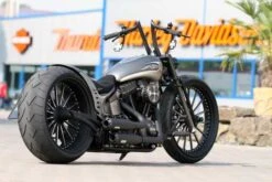 Schwingen Kit Kreuzfeuer 7 Schwingen Kit Kreuzfeuer -Thunderbike Verkaufsgeschäft kreuzfeuer schwinge5